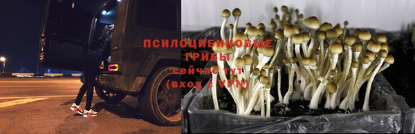 дмт Бугульма