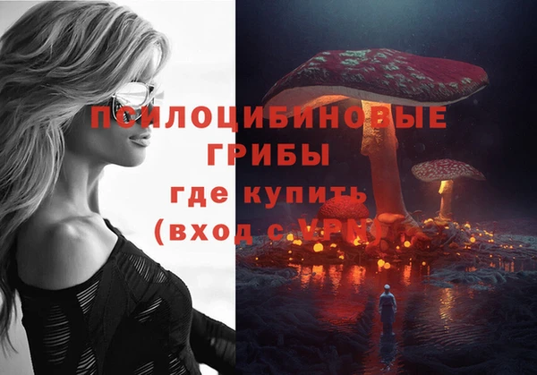 дмт Бугульма