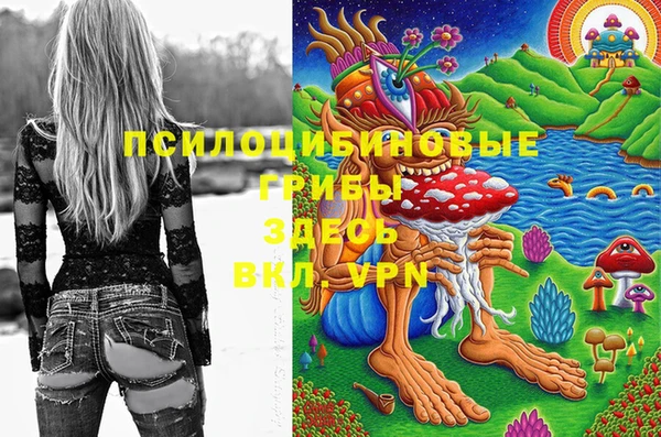 дмт Бугульма