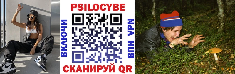 сколько стоит  Новохопёрск  MEGA рабочий сайт  Псилоцибиновые грибы Psilocybine cubensis 