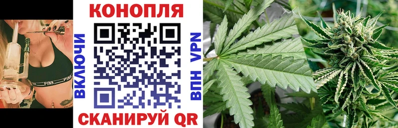сколько стоит Новохопёрск Конопля VHQ